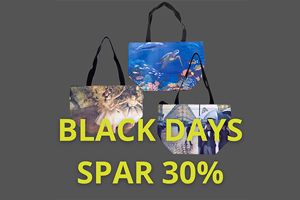 Shopping Tasker -<br/> Black Friday